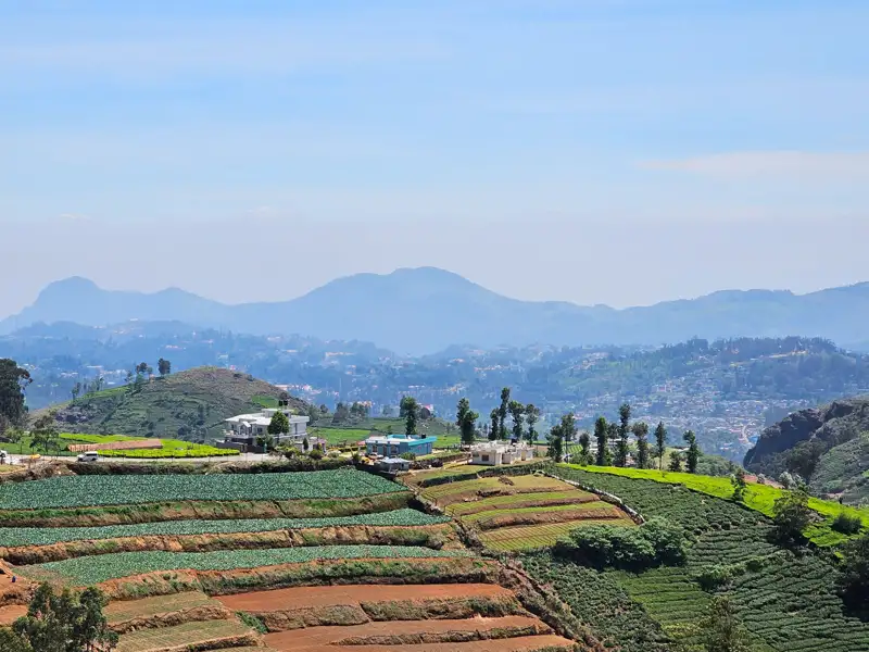 Blick über die bergige Landschaft bei Ooty mit Fokus auf einen zur Landwirtschaft genutzten Berg mit angebauten Terrassenfeldern.