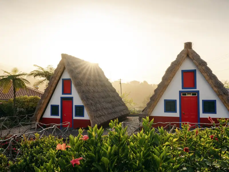 Entdecken Sie die traditionellen Madeira-Häuser mit ihren markanten Strohdächern. Diese historischen Gebäude sind ein Wahrzeichen der Insel und zeugen von der ursprünglichen Architektur und Kultur Madeiras.
